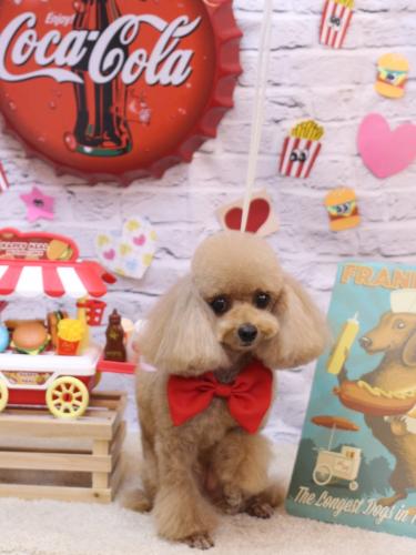 20230915ココちゃん